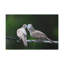 No Frame Print on Canvas