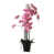 Pink is out of stock