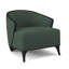 Penegrine Lounge Chair-71069842-71597477