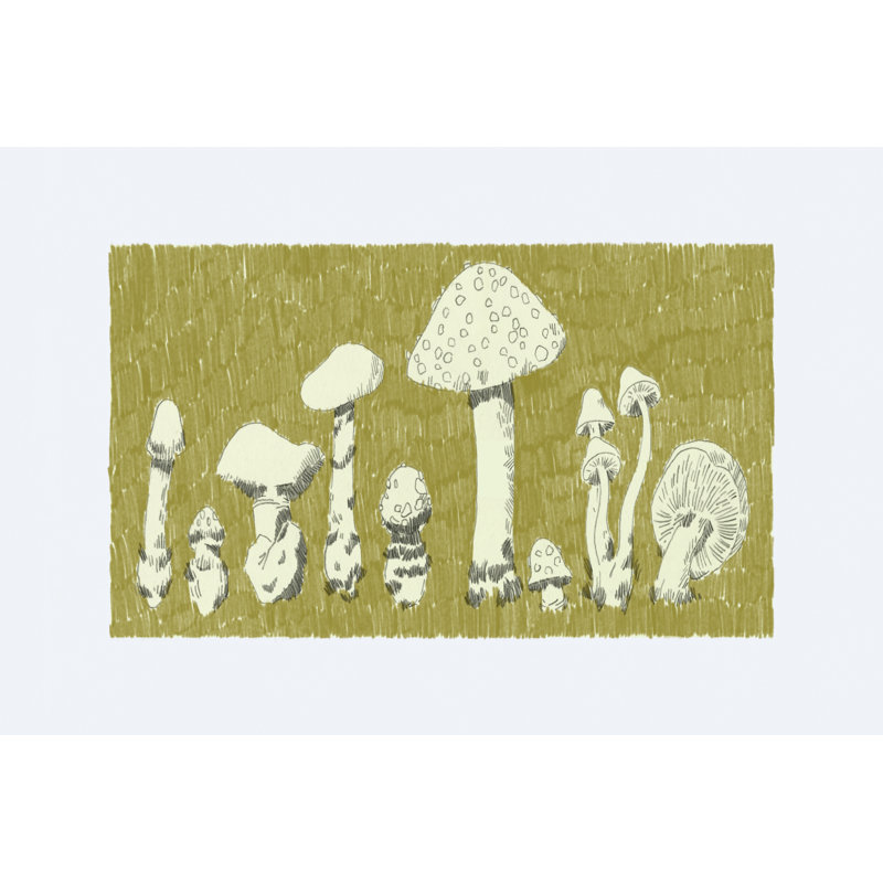 Forest Fungi II by Jacob Green - Painting, 20cm H x 30cm W, Wrapped Canvas