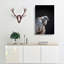 Vulture Bird - Wrapped Canvas-55302380
