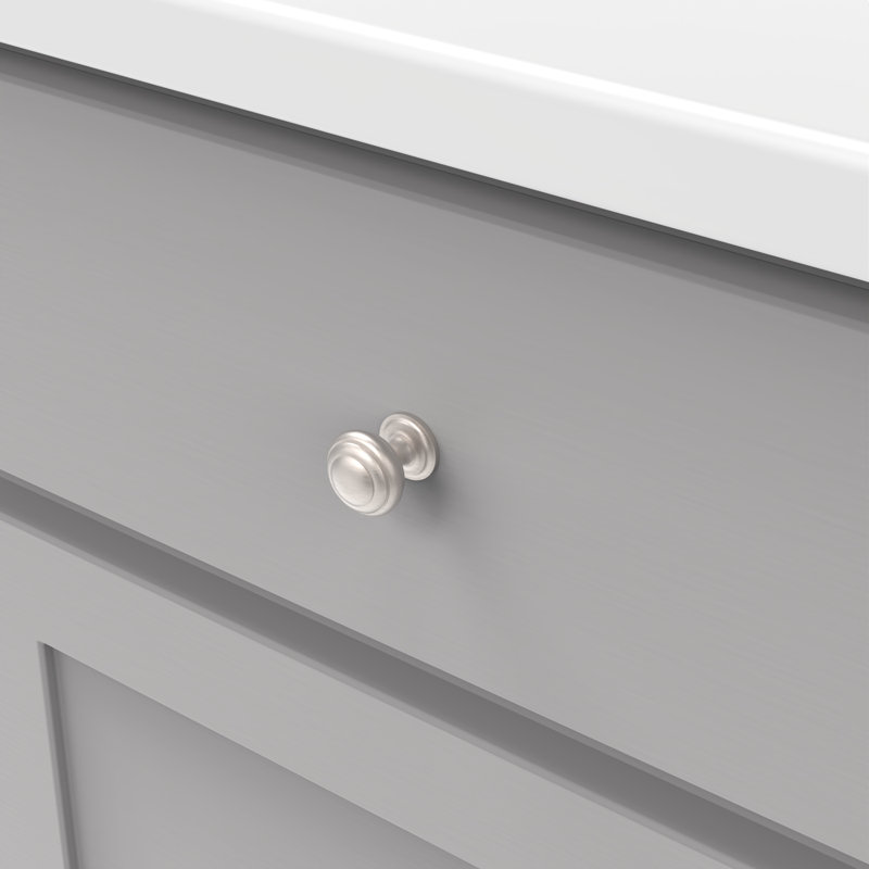Zephyr 1" Diameter Circle Knob Multipack, Stainless Steel