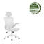Aalaysia Mesh Office Chair with Headrest-363516336