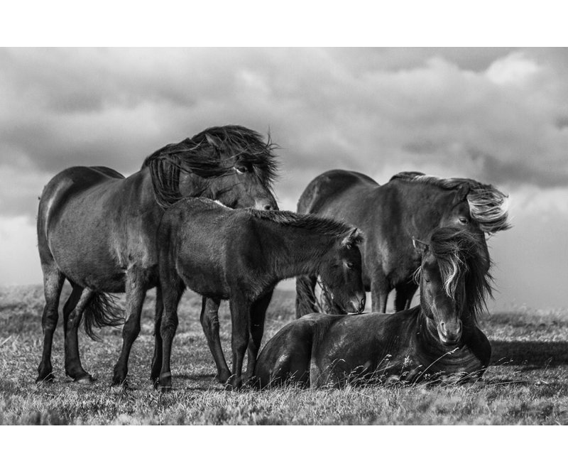 Wrapped Canvas Print, 76.2 cm H x 50.8 cm W