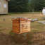 Pièces de ruche fiables. Composants essentiels de l'apiculture. Entretien apicole efficace. Ferme et ranch prêt.