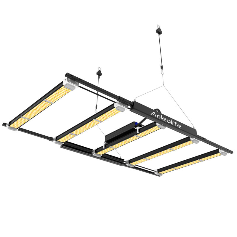 Outdoor Security Spotlight