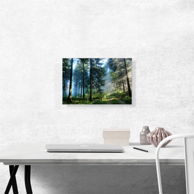 Lumière à travers les arbres de la forêt - reproduction de photo sur toile tendue
