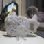 Cristal plaque de stalactite Elzie