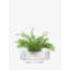 Rotunda Handmade Glass Table Vase-679525786