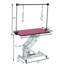 Hydraulic Pet Grooming Table With Arm