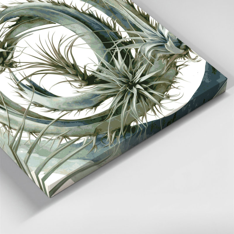 Art mural sur toile Botanical Air Plants, H 11 po x l 14 po