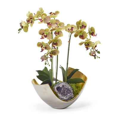 Orchids Floral Arrangement in Vase