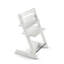 Tripp Trapp Chair-676037755