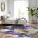 Machine Washable Indoor/Outdoor Claudian ACN1490 Purple Rug