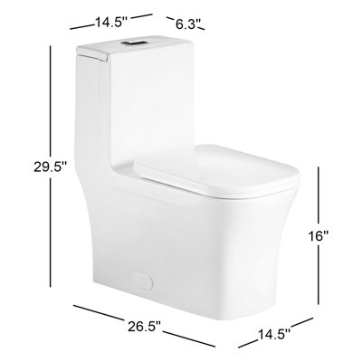 Dual-Flush One-Piece Toilet (Seat Included)