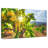 Vigne lumineuse-107890043