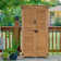 Garden 3 ft. W x 2 ft. D Solid Wood Lean-To Storage Shed