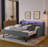 Twin size sofa bed with three LED lights, adjustable headboard with storage-556764584