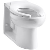 Anglesey Floor-Mounted Wall-Outlet 1.6 GPF Flushometer Valve Elongated Bowl with Rear Inlet