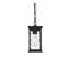 Luminaire suspendu d'extérieur noir 5 po Durham