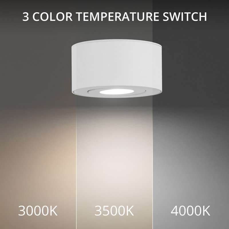I Spy Versatile White LED Outdoor Flush Mount