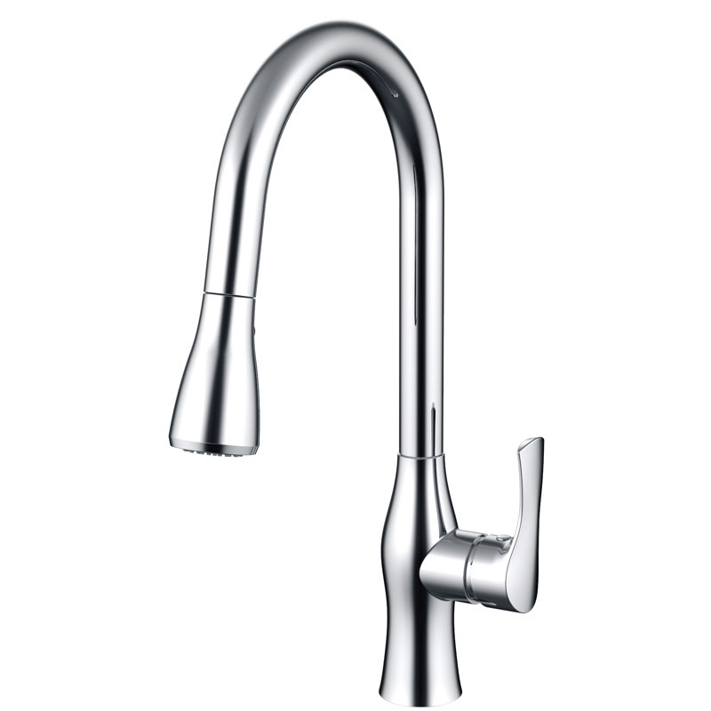 Daweier Pull Out Kitchen Faucet, Chrome