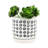 S/2 5/6" Aztec Planter W/ Saucer