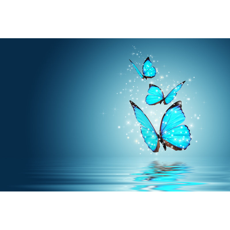 Butterfly by Vadmary - Wrapped Canvas Print, 30cm H x 46cm W x 3.8cm D