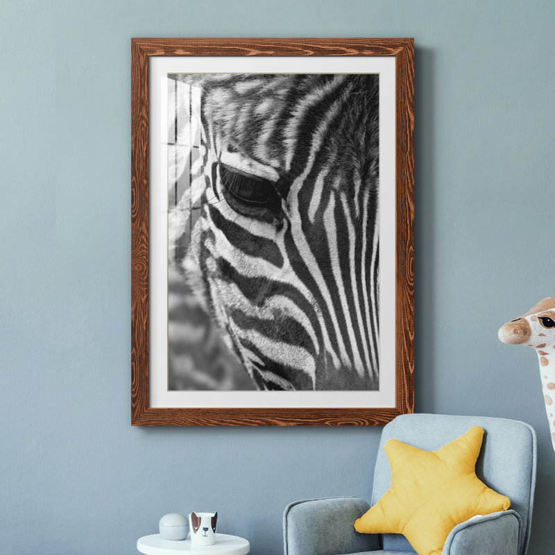 Zebra Colt - Photographie avec cadre photo, Cadre en érable, H 31 po x l 44 po x P 1 po