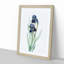 German Iris Flowers by Pierre-Joseph Redoute - Picture Frame Painting Print-55608607-55608608