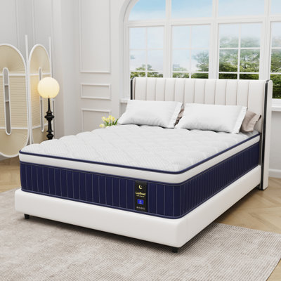 10" Medium Firm Hybrid Mattress In A Box – Memory Foam & Pocket Spring, Certipur-US by Alwyn Home