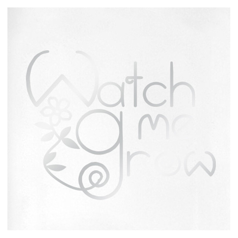 Wall Decal, Shiny Silver