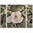 White Magnolia 3 Piece Photographic Print on Wrapped Canvas Set-16137826