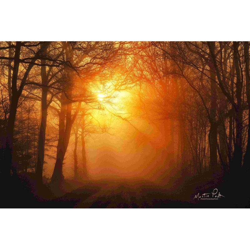 «Misty Sunrise» par Martin Podt - reproduction d'art sur toile tendue, H 8 po x l 12 po