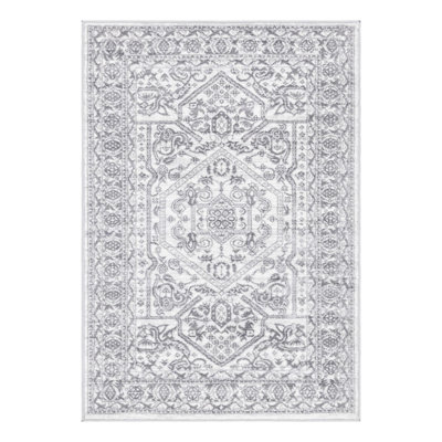 Teisuke Oriental Indoor Rug