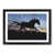 Black Framed