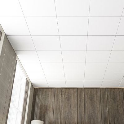 2 ft. x 2 ft. PVC Drop Ceiling Tile