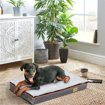 Orthopedic Dog Bed