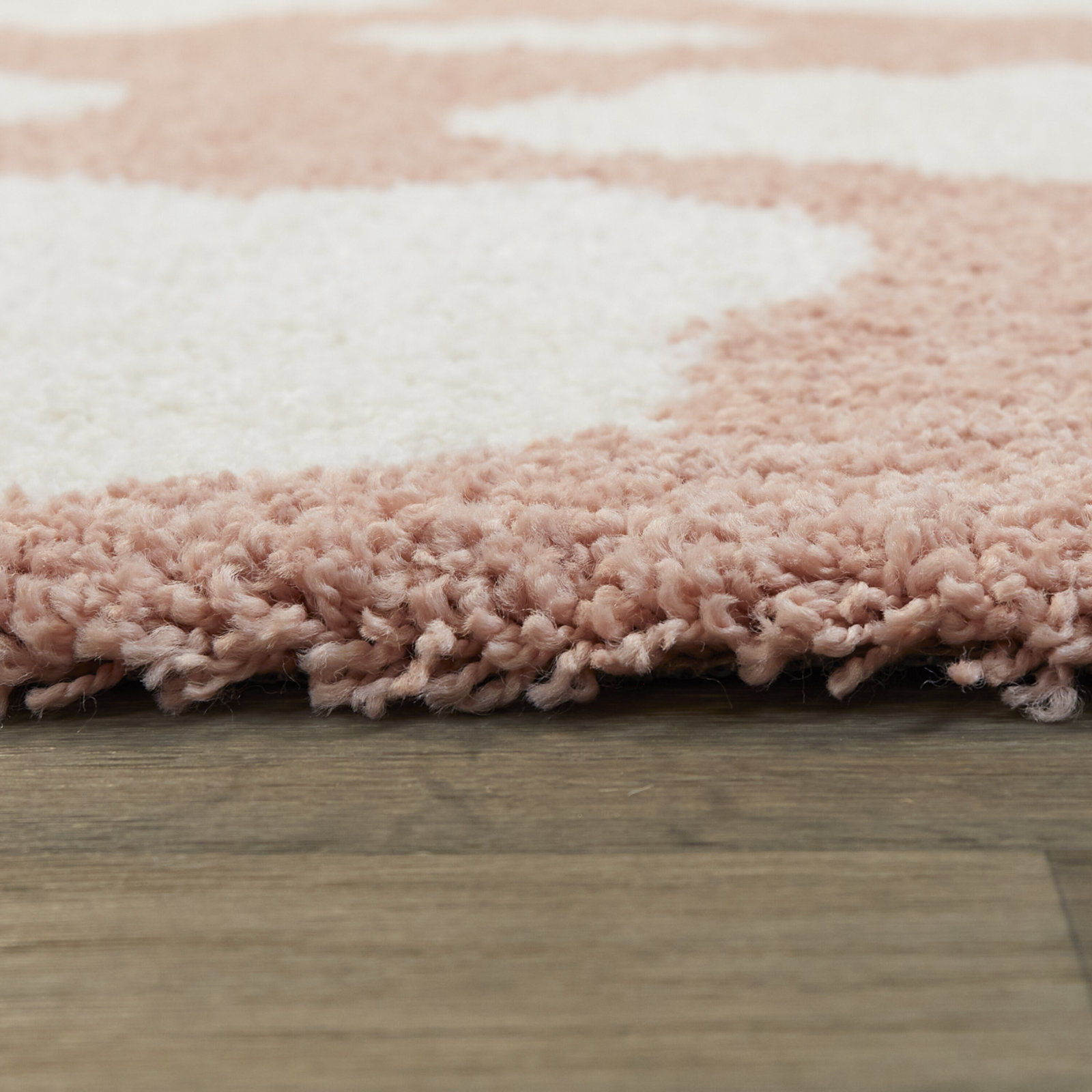 Primland Cloud Shag Area Rug, Rectangle 3'11" x 5'7", Pink