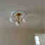 Photos des clients 1 de 1