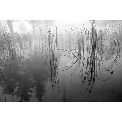 Empty Foggy Lake by Gevende - No Frame Art Prints on Canvas