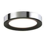 Maupin Acrylic Flush Mount