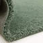 Taiwo Shaggy Sage Area Rug-1552391343
