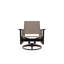 Wexler Outdoor Swivel Lounge Chair-1099678792-1102391102