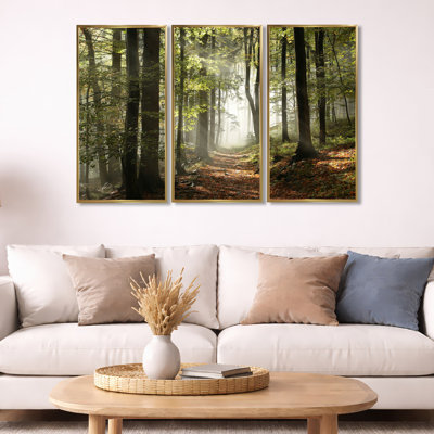 Forêt d'automne verte avec rayons de soleil - ensemble d'art mural sur toile encadré paysage