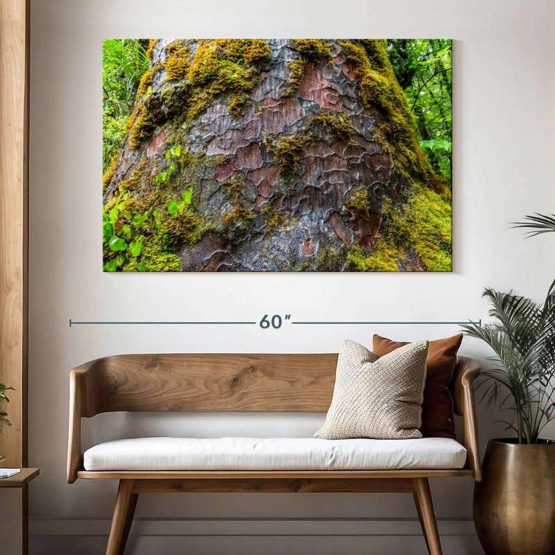 Mossy Kauri Tree, 34" H x 51" W
