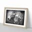 Two Snuggling Lions - Picture Frame Painting Print-55606139-55606141