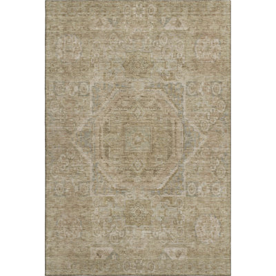 Premium Machine Washable Lubbers AMF1743 Global Rug