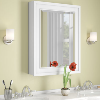 Charley Surface Mount Framed Medicine Cabinet with 3 Shelves