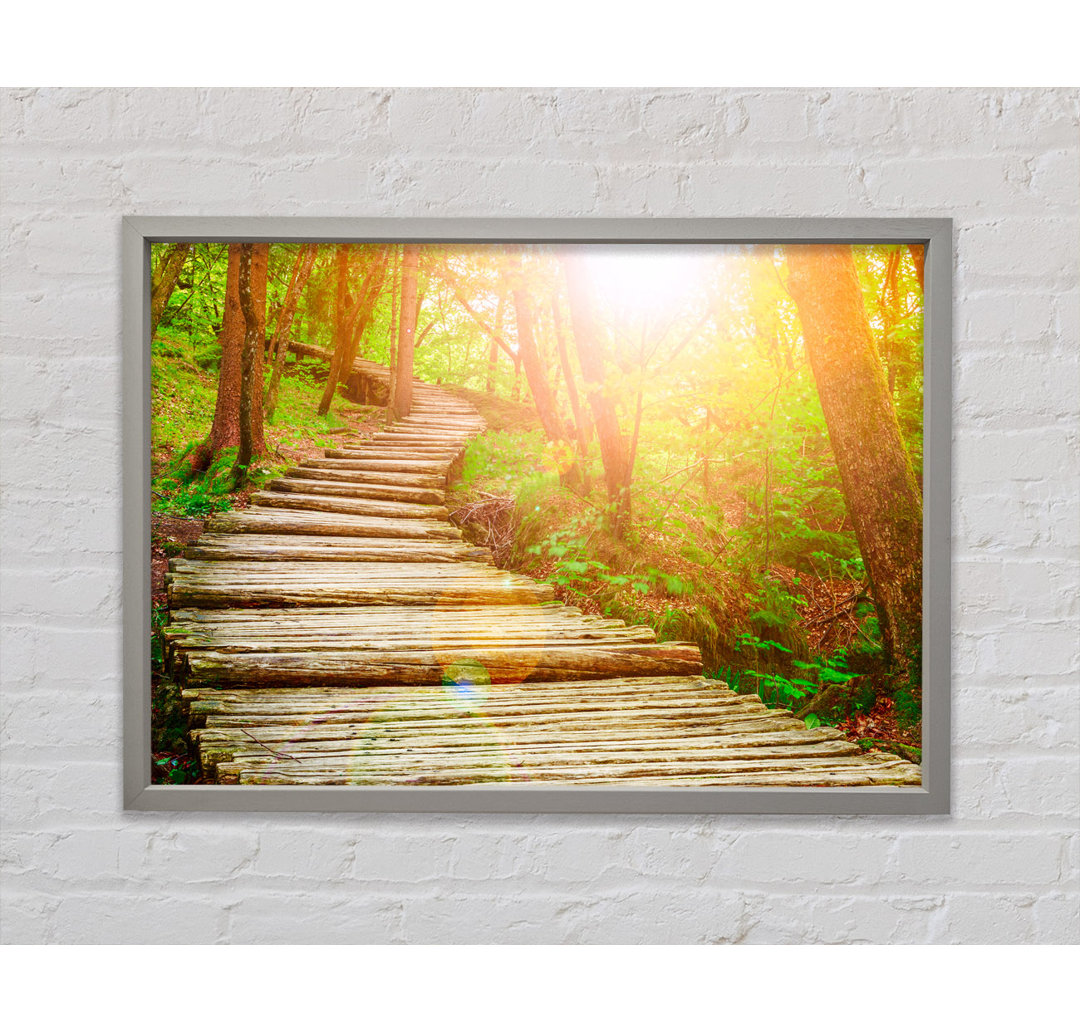 Log Trail Through The Woods - Single Picture Frame Kunstdrucke auf Leinwand